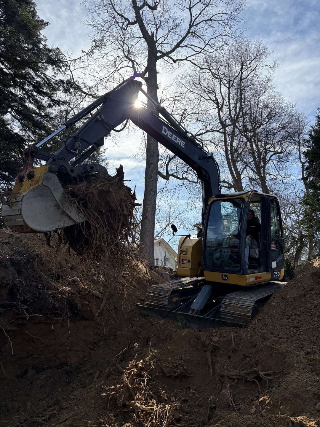 Excavator removing tree roots in a residential area on a sunny day.
