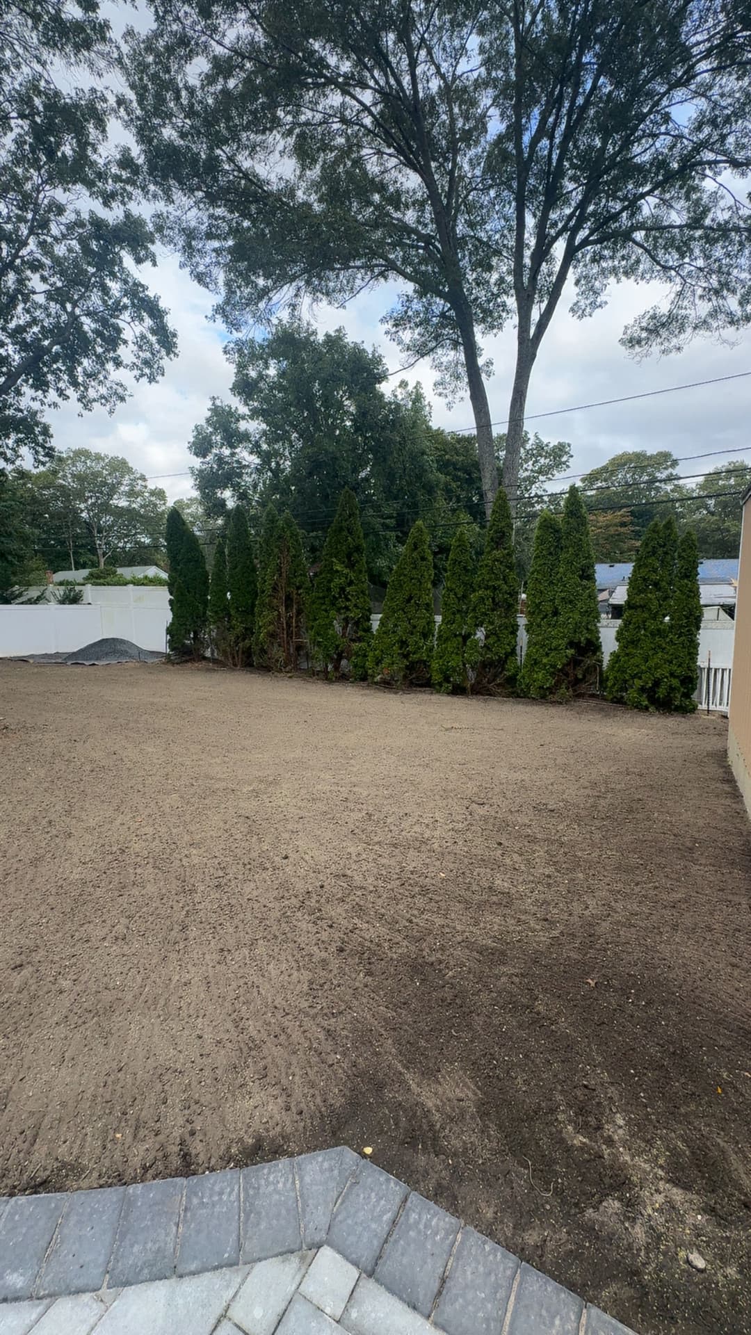 Bare backyard with freshly prepared soil and tall evergreen trees in the background.