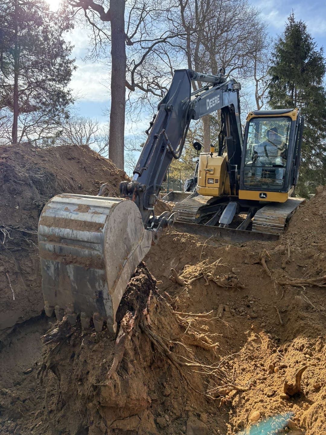 Excavator digging out tree roots in a construction site surrounded by trees.