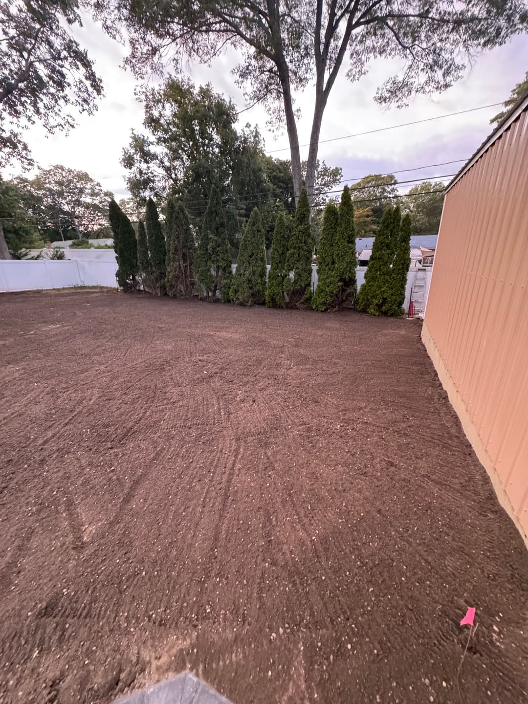 Cleared backyard space with freshly tilled soil and tall evergreen trees along the perimeter.