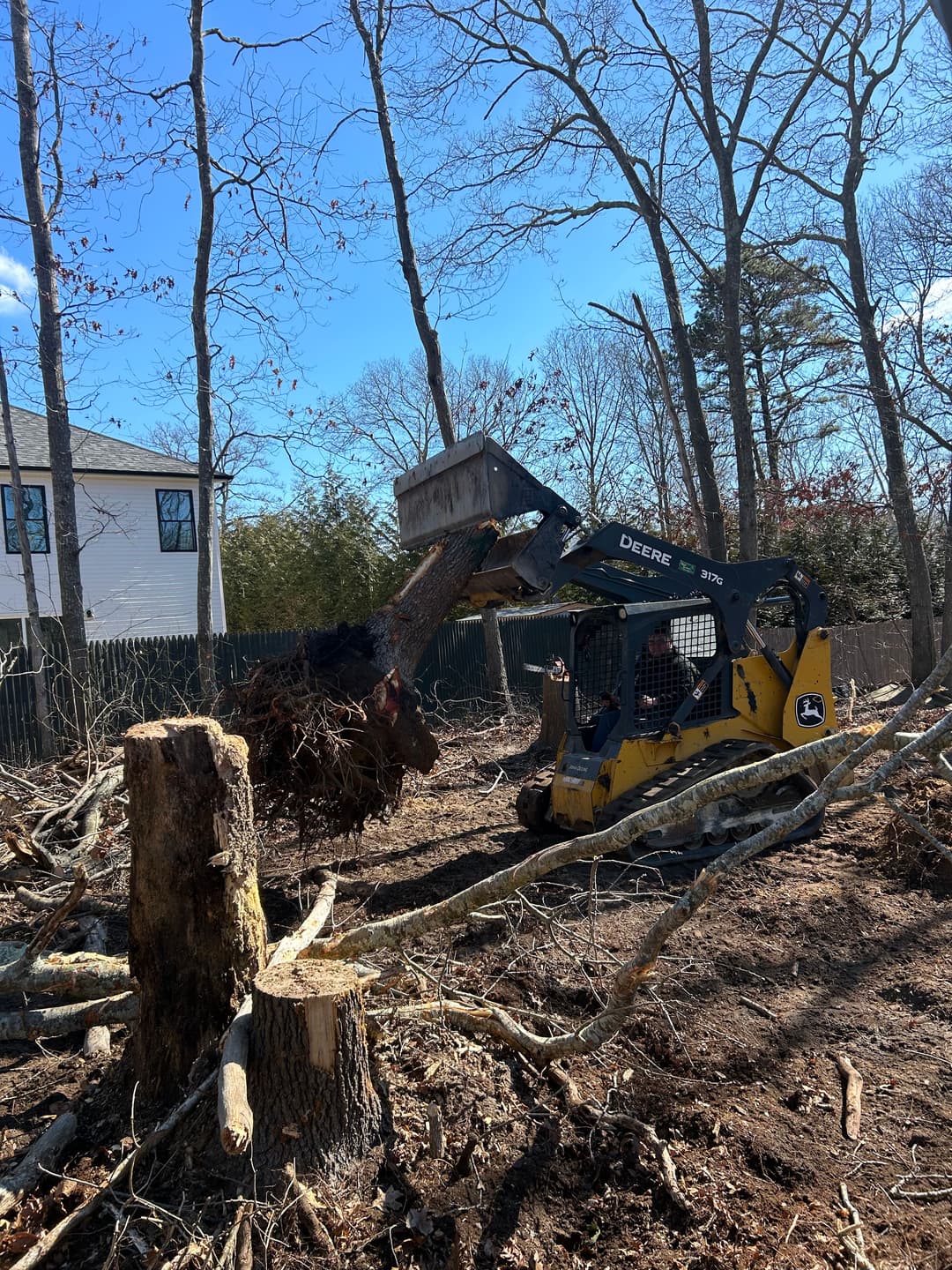 Tree removal in progress with a skid steer lifting a large uprooted stump.