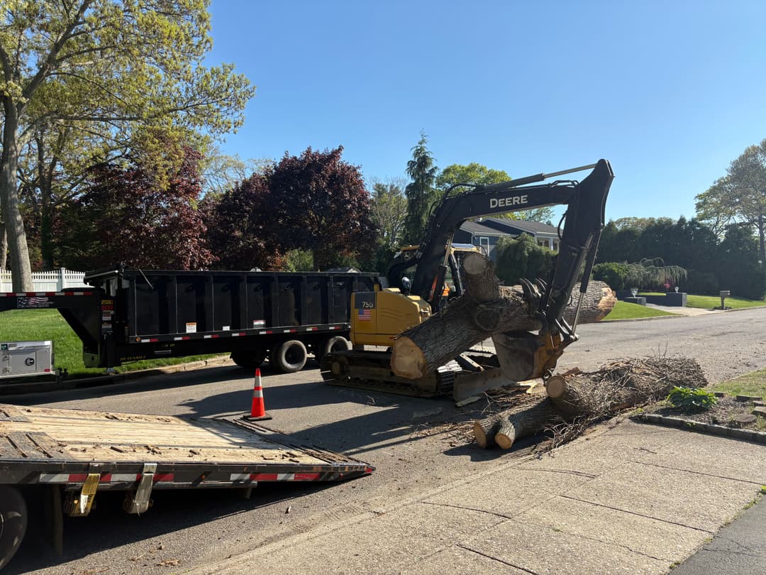 Tree removal equipment and debris on a residential street under clear blue skies.