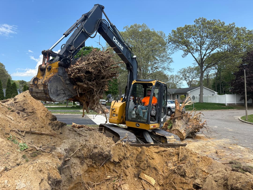 Excavator removing tree roots from a construction site with clear blue sky in the background.