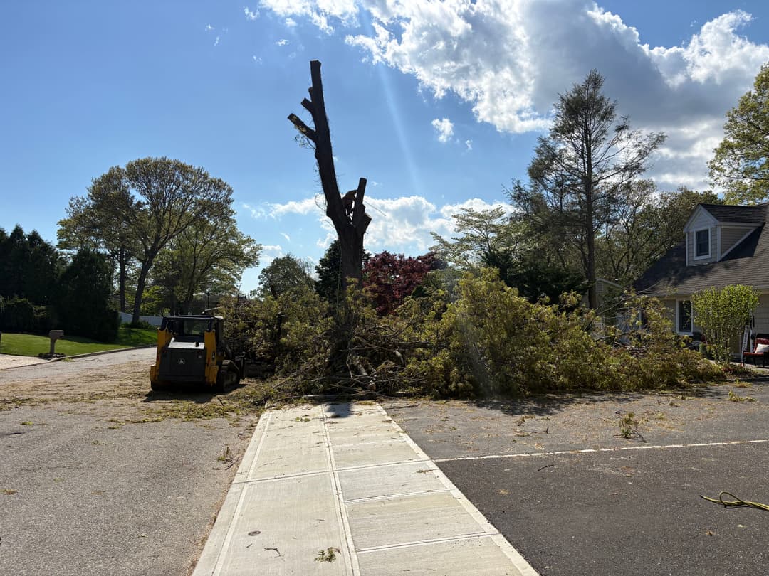 Tree stump removal with debris piled up on a residential street under a clear blue sky.