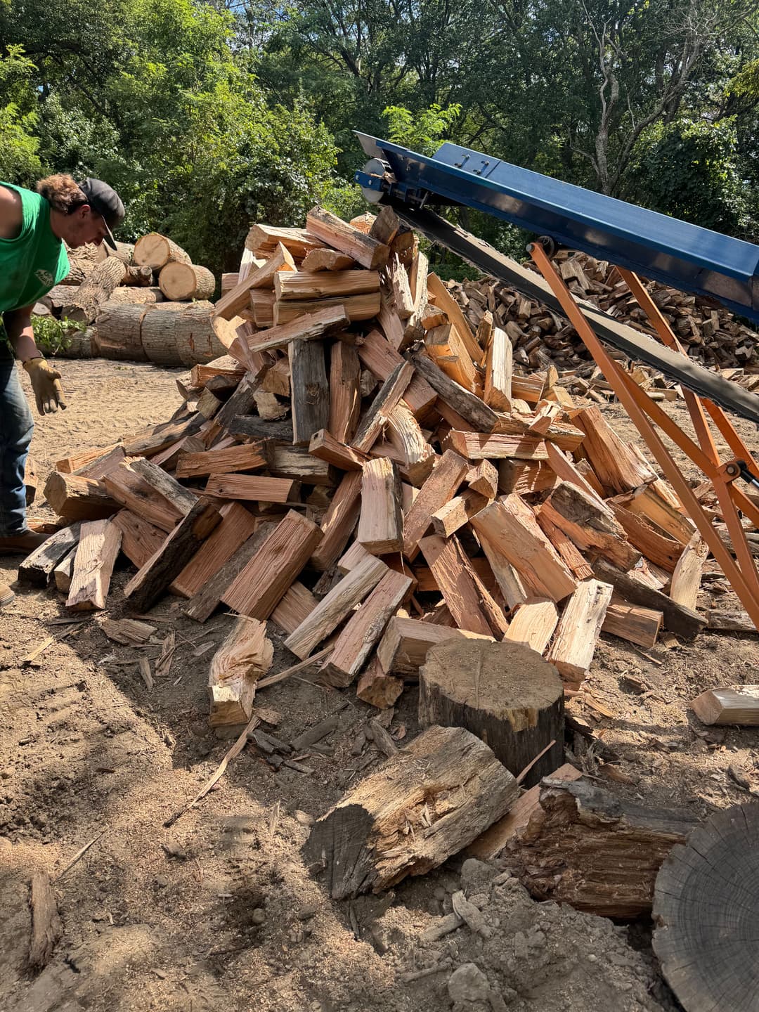 Worker stacking freshly cut firewood near a wood splitter in a sunny outdoor setting.