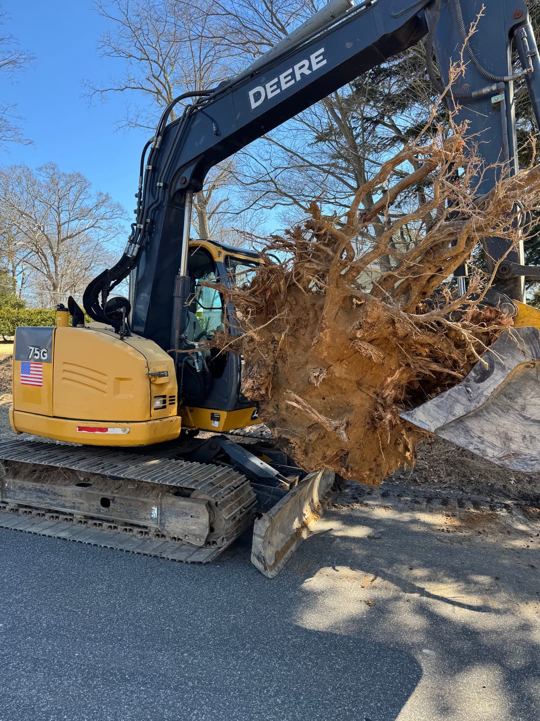 Excavator removing large tree stump on a residential street, showcasing heavy machinery in action.
