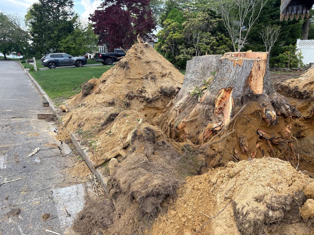 Tree stump removal with excavated soil and large dirt piles in residential area.