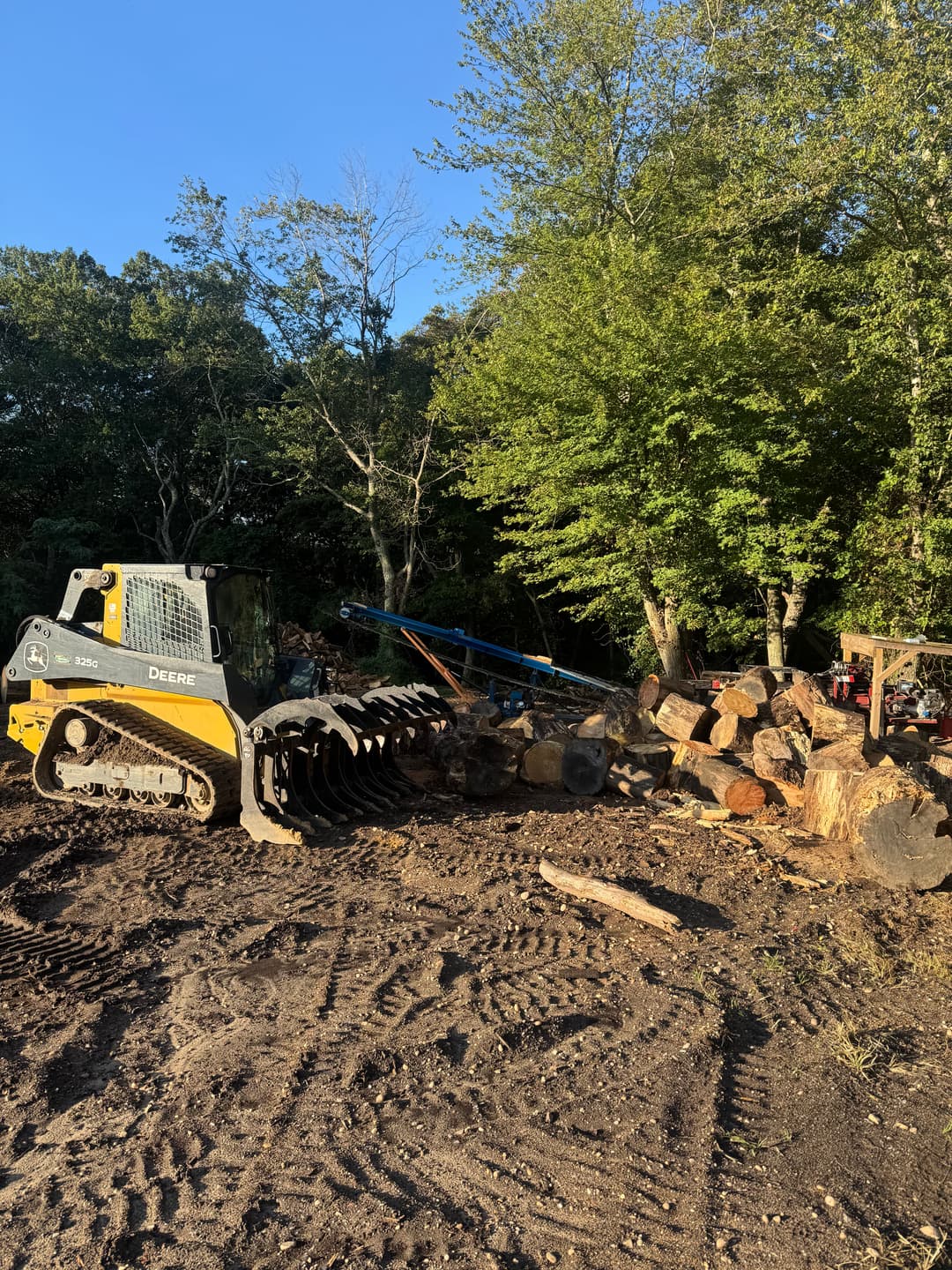 Skid steer loader with grapple attachment near stacked logs in a wooded area.